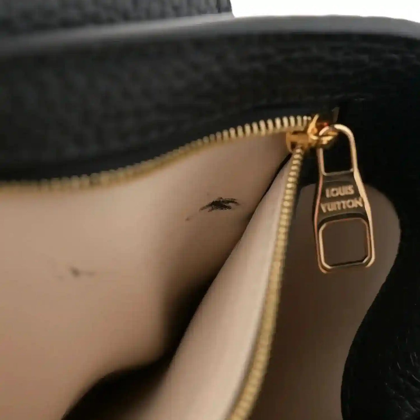 e9196505a309752b3391a9ee13a78f4d - NEESTRA