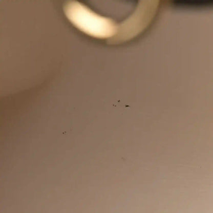 02128c1a3abc7e6baf4d479801153e4c - NEESTRA