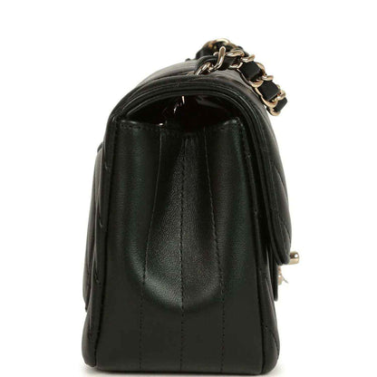 C-MN255-251008-2-04 - NEESTRA