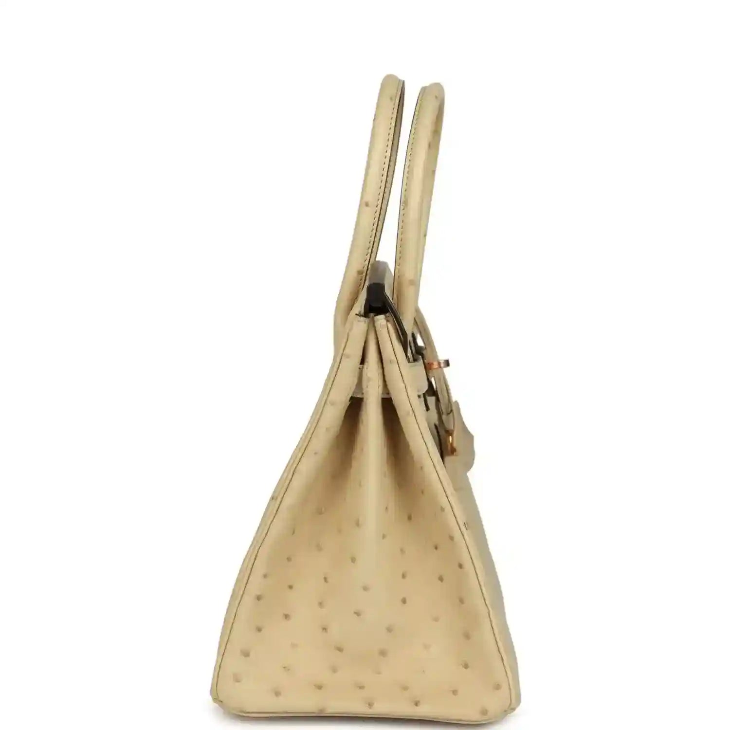 Timeless beige leather handbag with elegant top handles and refined textured finish.