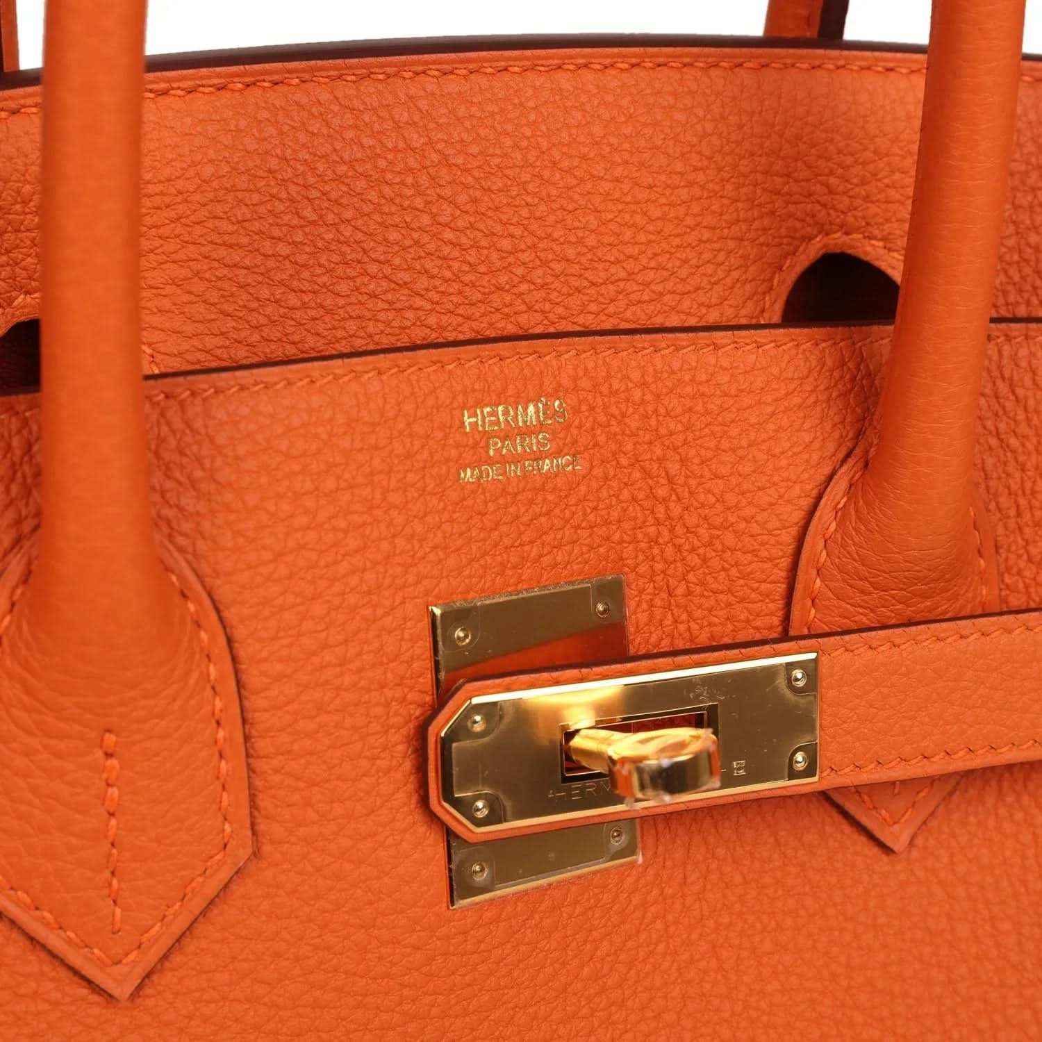 Timeless orange leather handbag with gold hardware and elegant, sophisticated design.