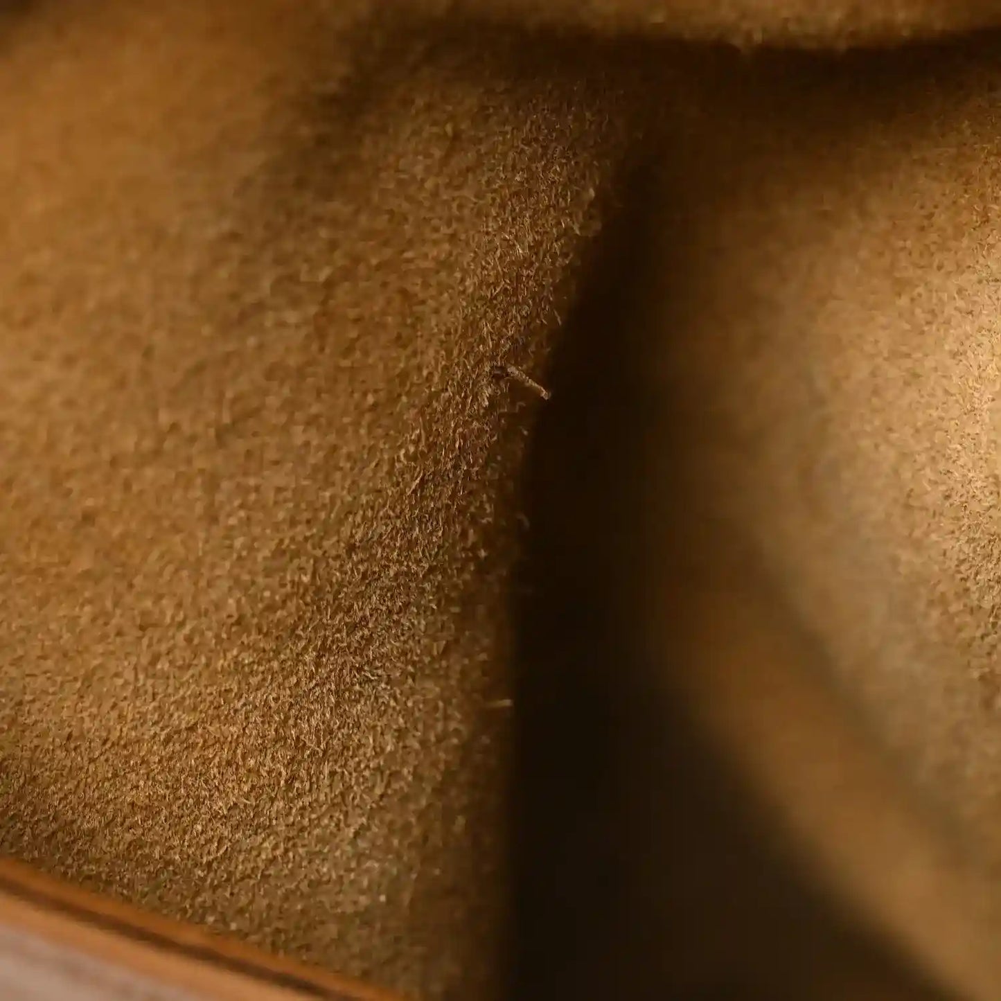 ad751bb3272686b1078f436ddc03b114 - NEESTRA