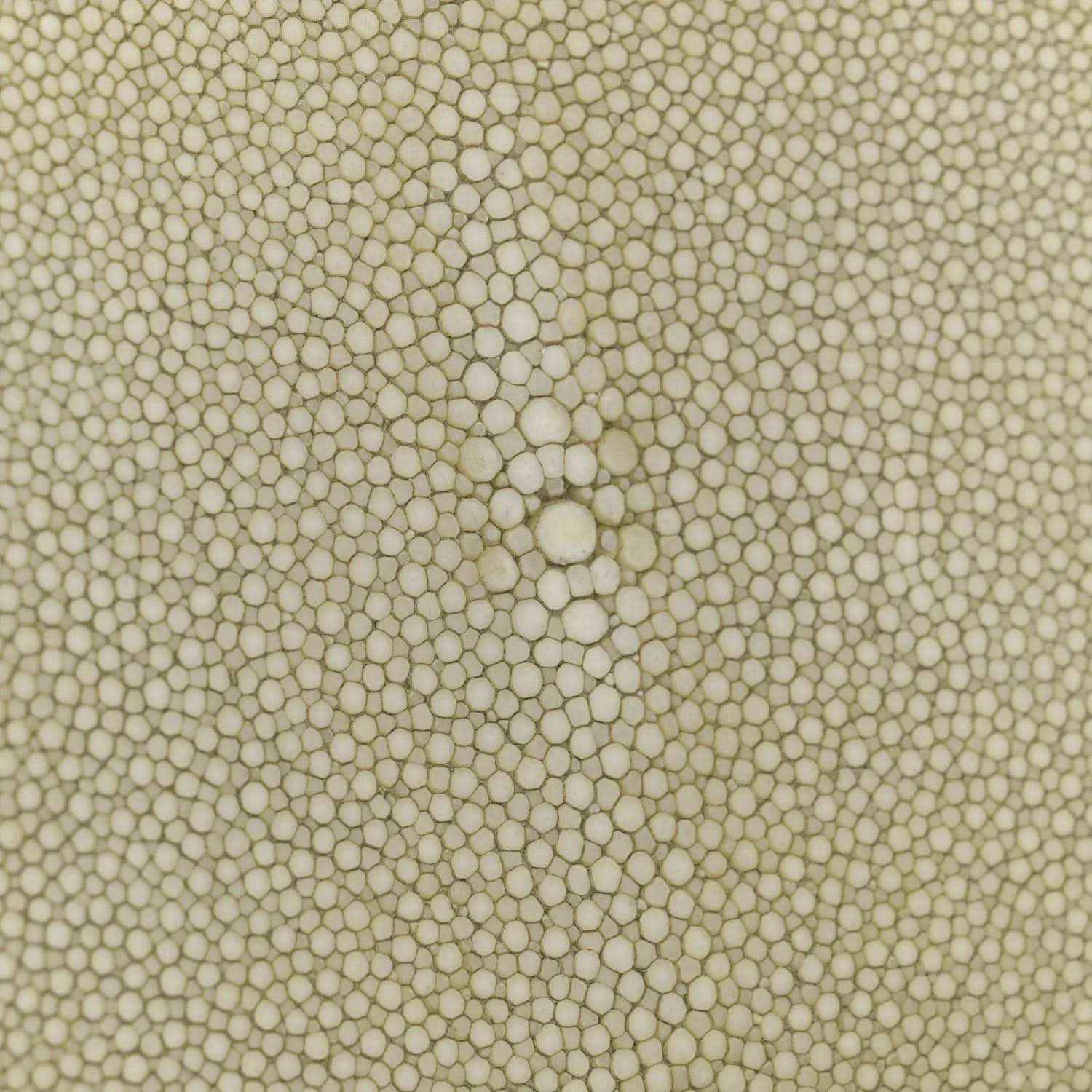 c087d91c256065688b466c88e68972de - NEESTRA