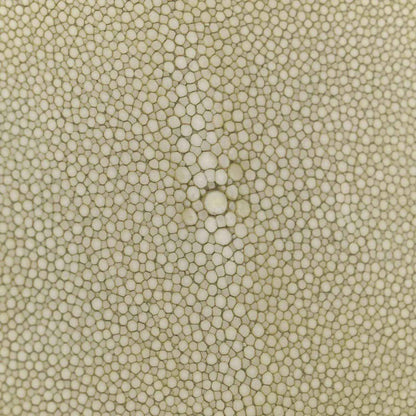 c087d91c256065688b466c88e68972de - NEESTRA