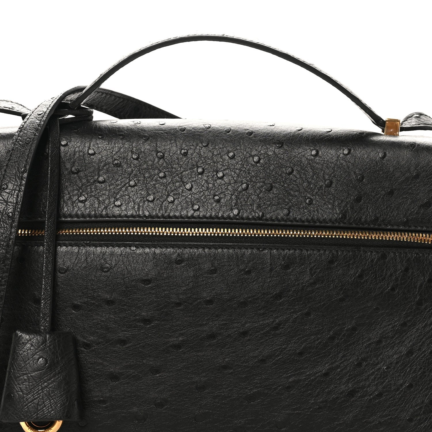 Black ostrich leather bag front with textured finish and long gold zipper.