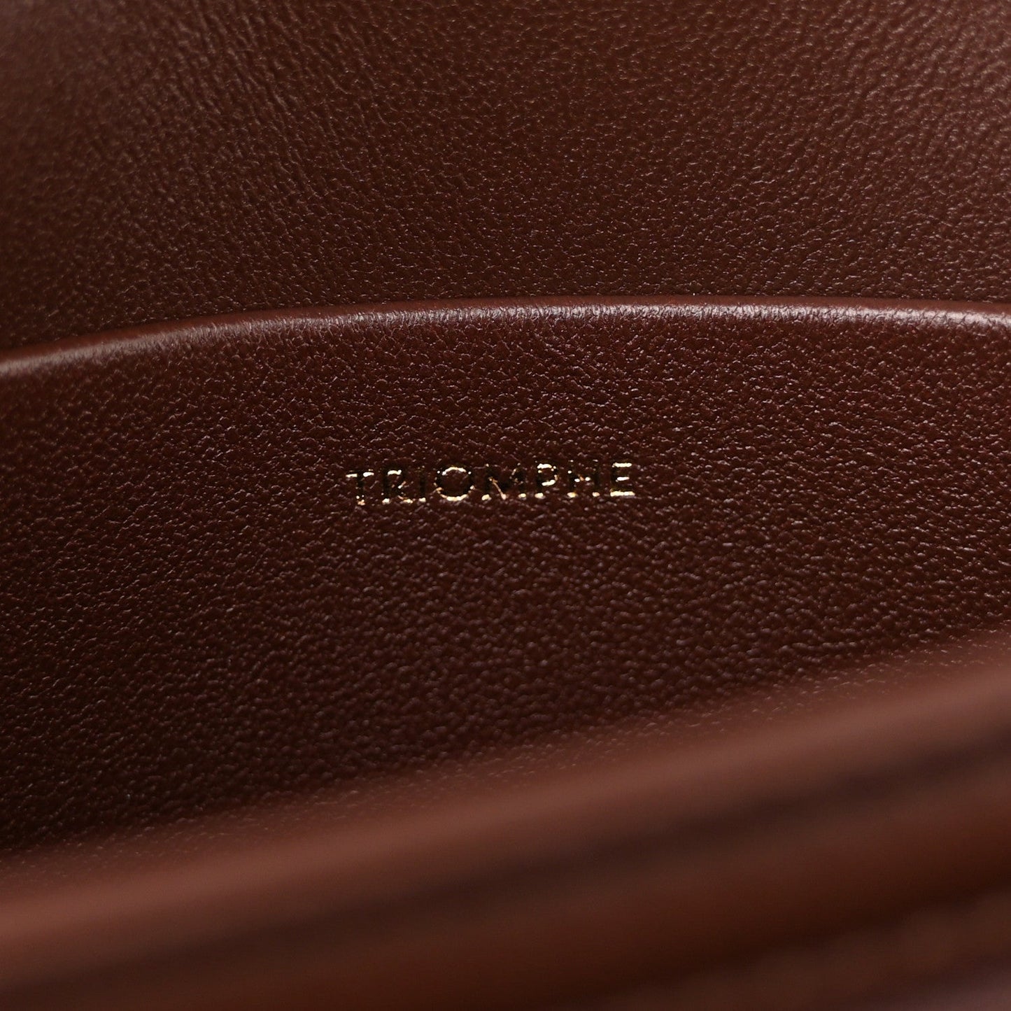 Dark chestnut leather interior with embossed CELINE logo