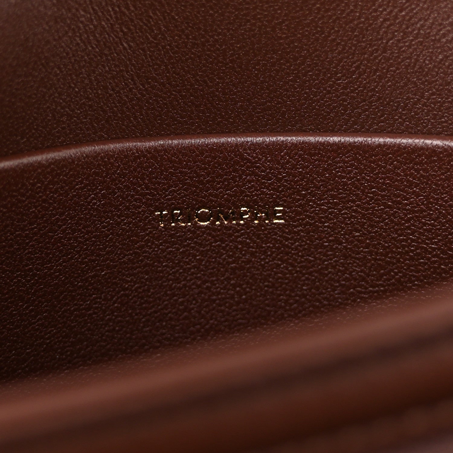 Dark chestnut leather interior with embossed CELINE logo