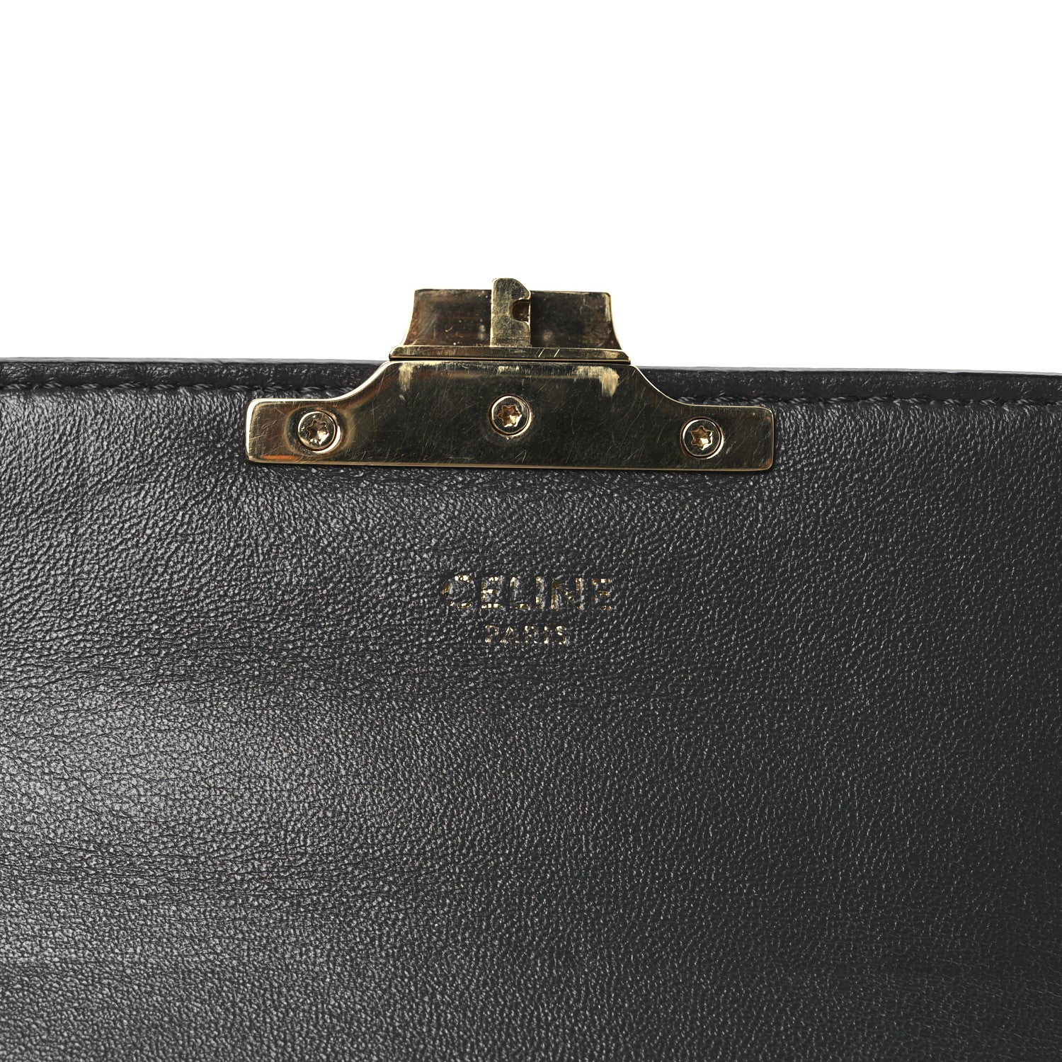 Back of grey snakeskin bag with gold-tone hinge hardware and clasp mount
