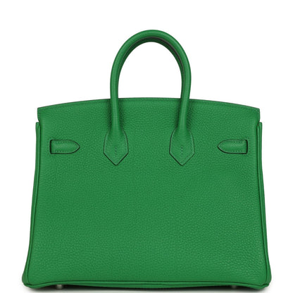 Hermes Birkin 25 Handbag Bambou Togo Leather Palladium Hardware - NEESTRA