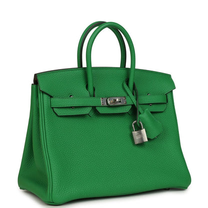 Hermes Birkin 25 Handbag Bambou Togo Leather Palladium Hardware - NEESTRA