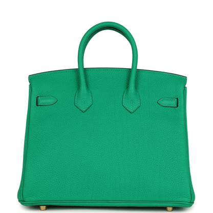 Hermes Birkin 25 Handbag Menthe Togo Gold Hardware - NEESTRA