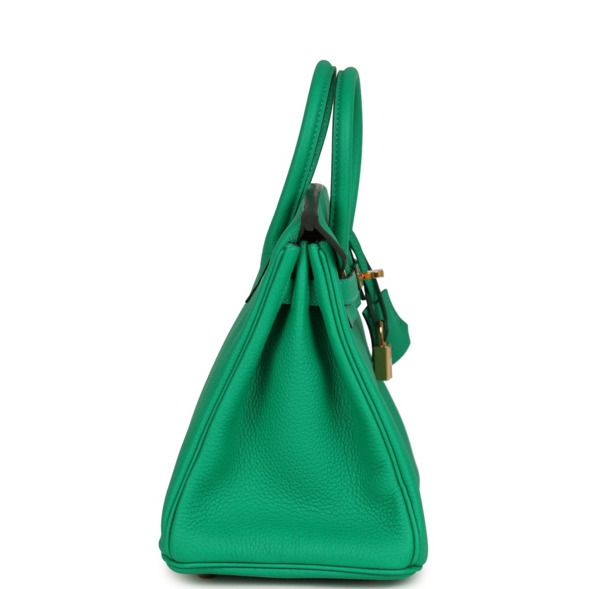 Hermes Birkin 25 Handbag Menthe Togo Gold Hardware - NEESTRA