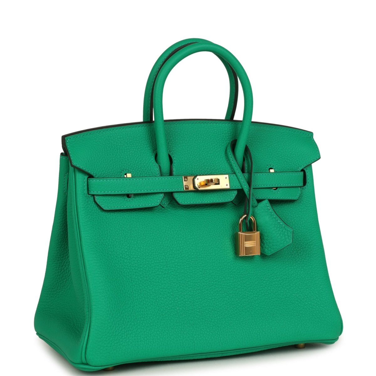 Hermes Birkin 25 Handbag Menthe Togo Gold Hardware - NEESTRA