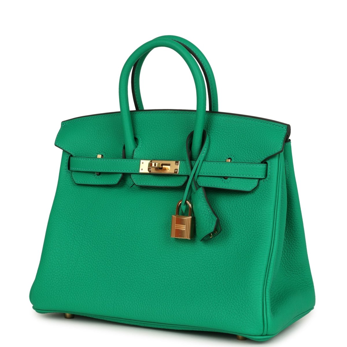 Hermes Birkin 25 Handbag Menthe Togo Gold Hardware - NEESTRA