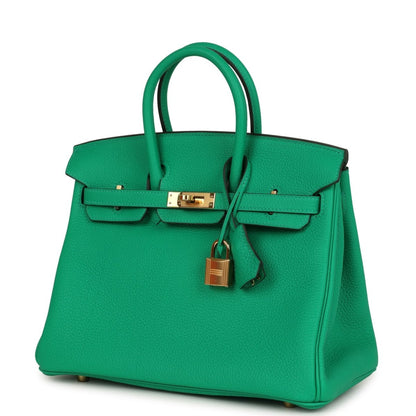 Hermes Birkin 25 Handbag Menthe Togo Gold Hardware - NEESTRA