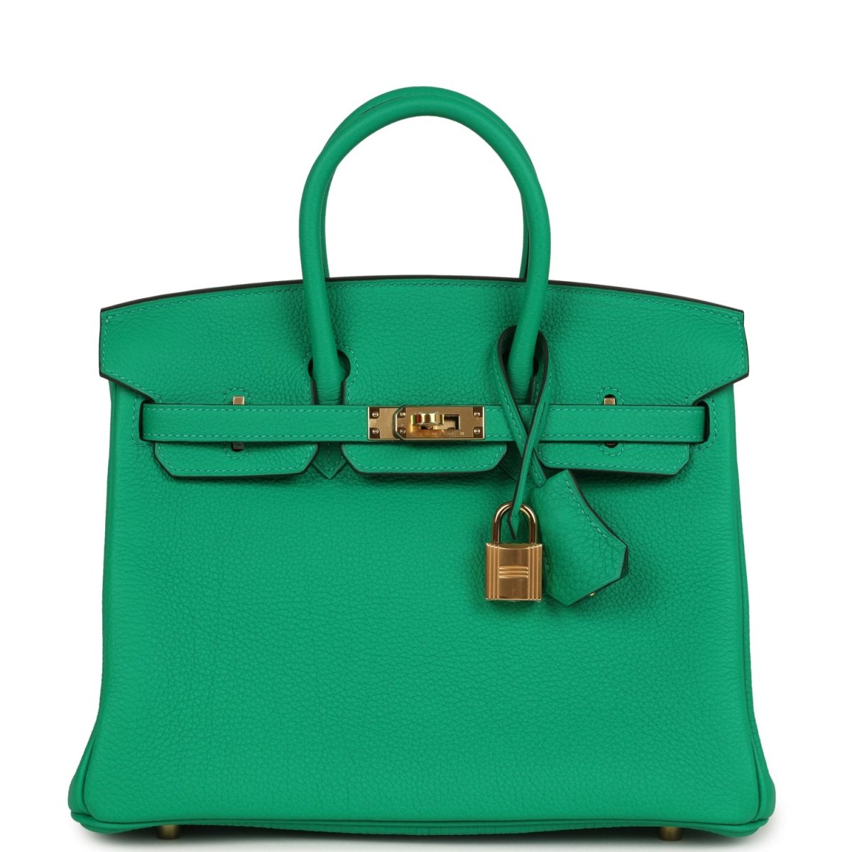 Hermes Birkin 25 Handbag Menthe Togo Gold Hardware - NEESTRA