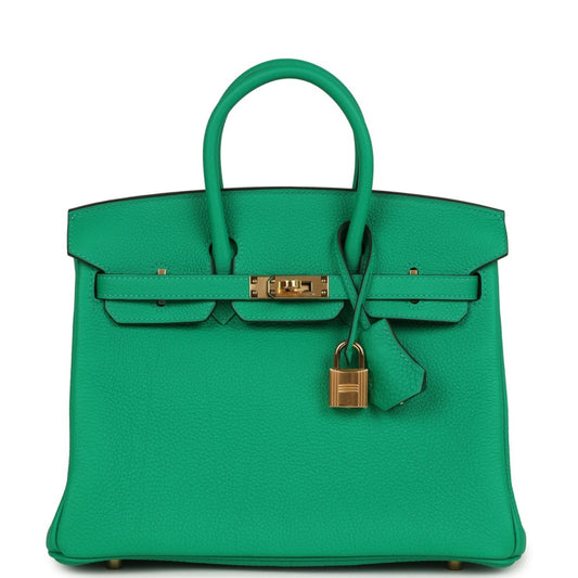 Hermes Birkin 25 Handbag Menthe Togo Gold Hardware - NEESTRA