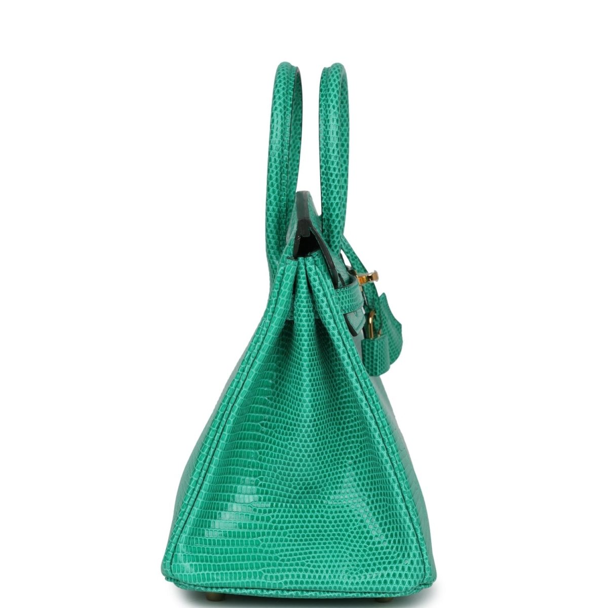 Hermes Birkin 25 Handbag Menthe Varanus Niloticus Lizard Gold Hardware - NEESTRA