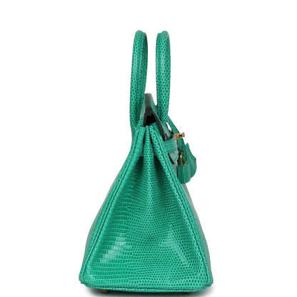 Hermes Birkin 25 Handbag Menthe Varanus Niloticus Lizard Gold Hardware - NEESTRA