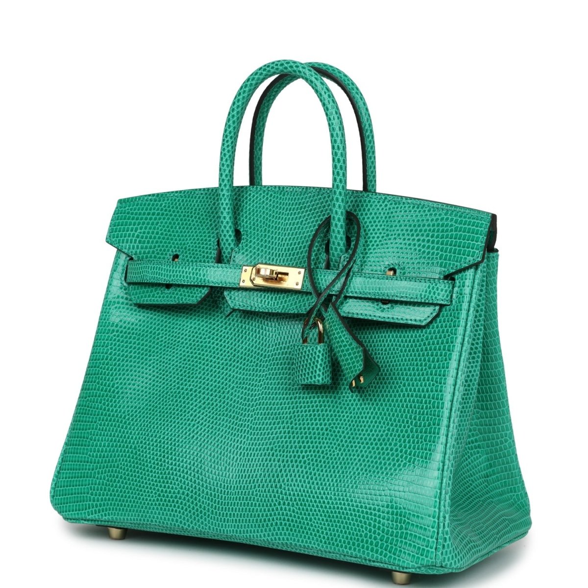 Hermes Birkin 25 Handbag Menthe Varanus Niloticus Lizard Gold Hardware - NEESTRA