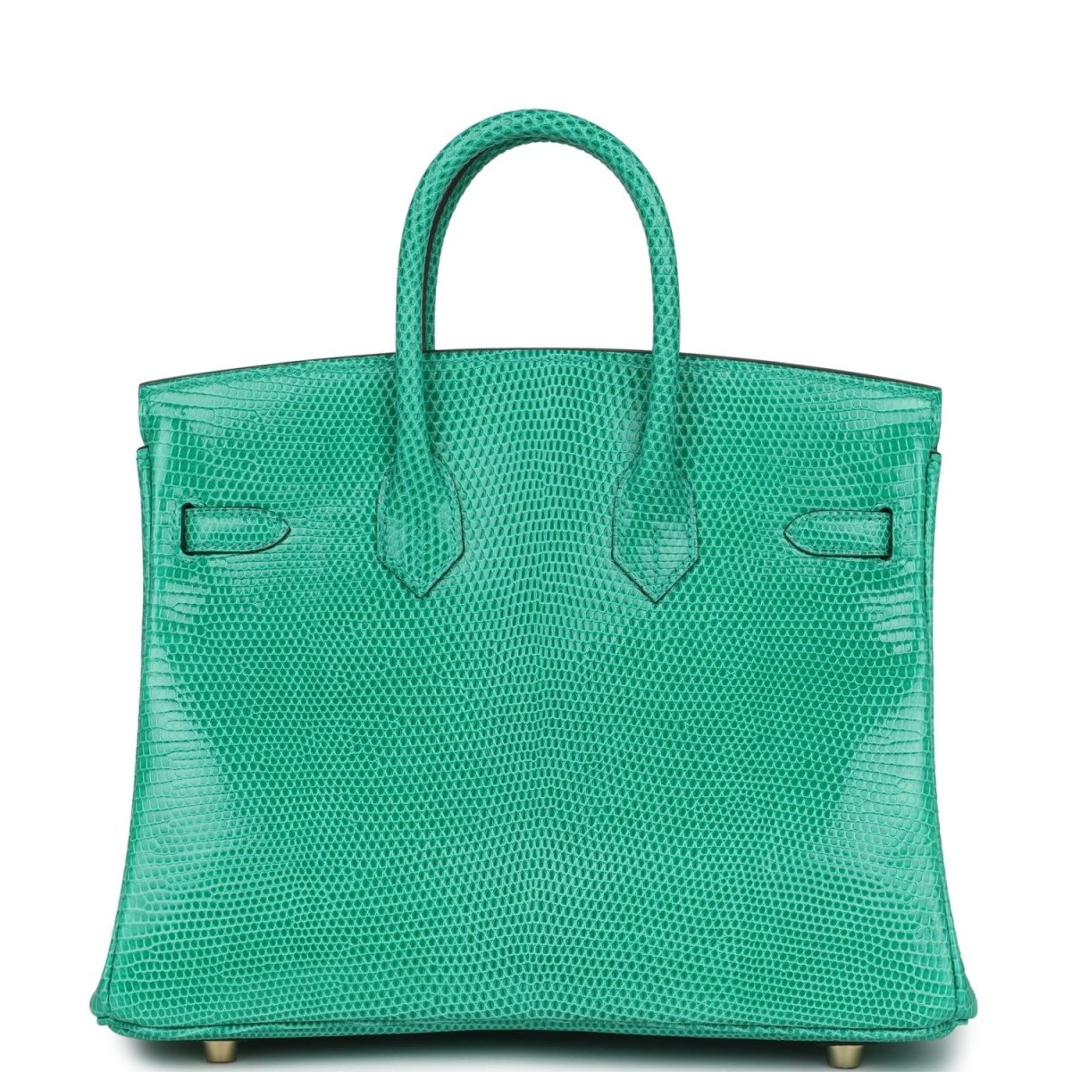 Hermes Birkin 25 Handbag Menthe Varanus Niloticus Lizard Gold Hardware - NEESTRA