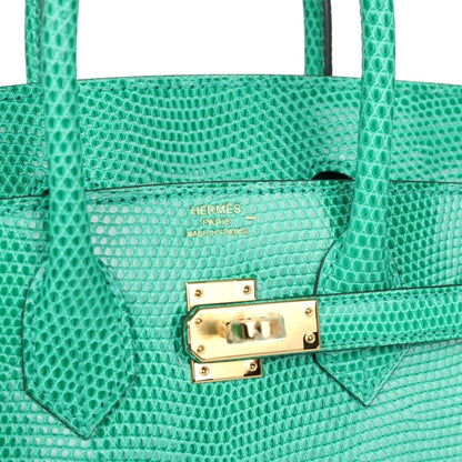 Hermes Birkin 25 Handbag Menthe Varanus Niloticus Lizard Gold Hardware - NEESTRA