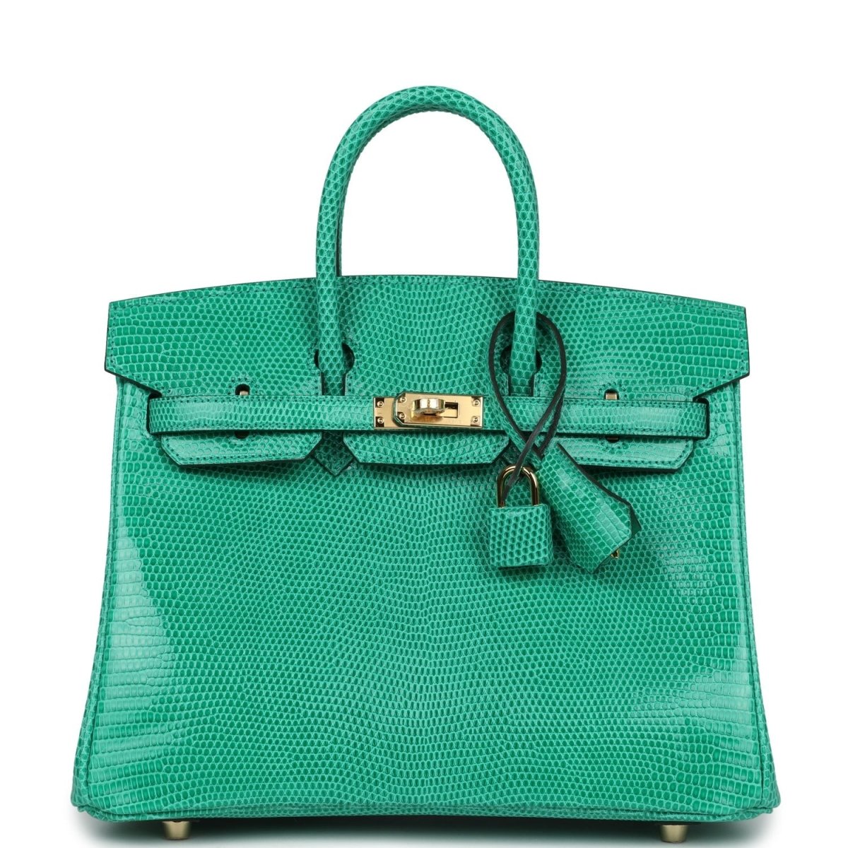 Hermes Birkin 25 Handbag Menthe Varanus Niloticus Lizard Gold Hardware - NEESTRA