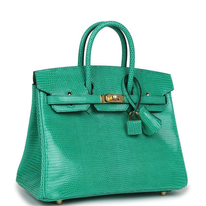 Hermes Birkin 25 Handbag Menthe Varanus Niloticus Lizard Gold Hardware - NEESTRA