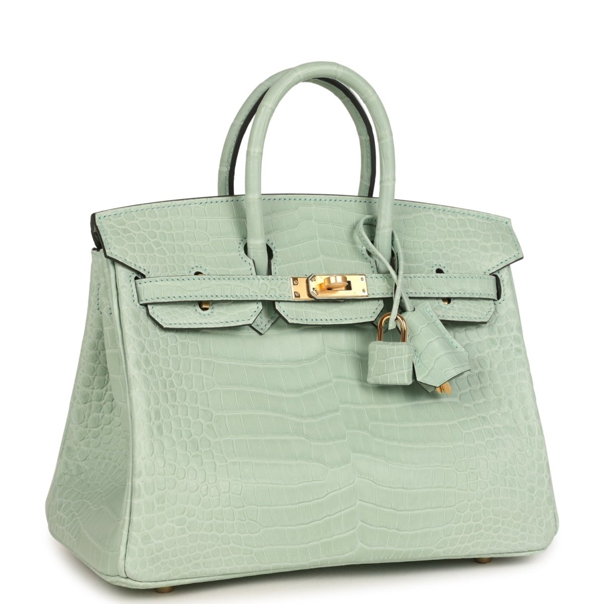 Hermes Birkin 25 Handbag Vert D'Eau Matte Porosus Crocodile Gold - NEESTRA
