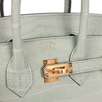 Hermes Birkin 25 Handbag Vert D'Eau Matte Porosus Crocodile Gold - NEESTRA