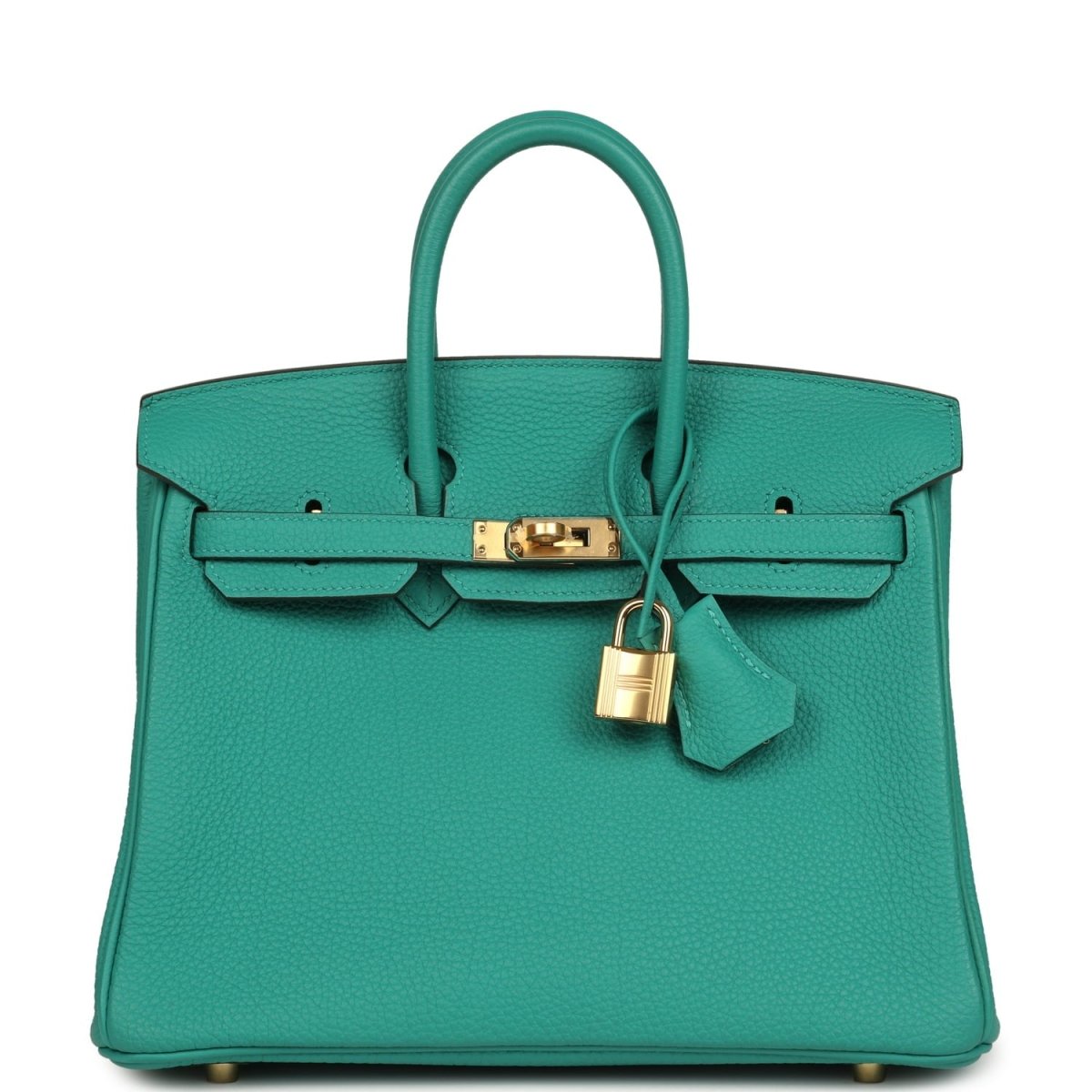 Hermes Birkin 25 Handbag Vert Verone Togo Gold Hardware - NEESTRA