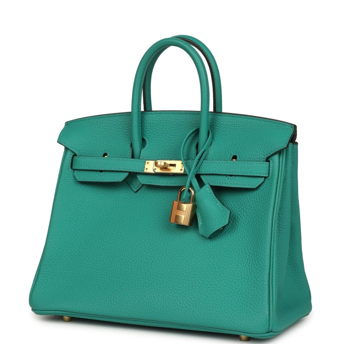 Hermes Birkin 25 Handbag Vert Verone Togo Gold Hardware - NEESTRA