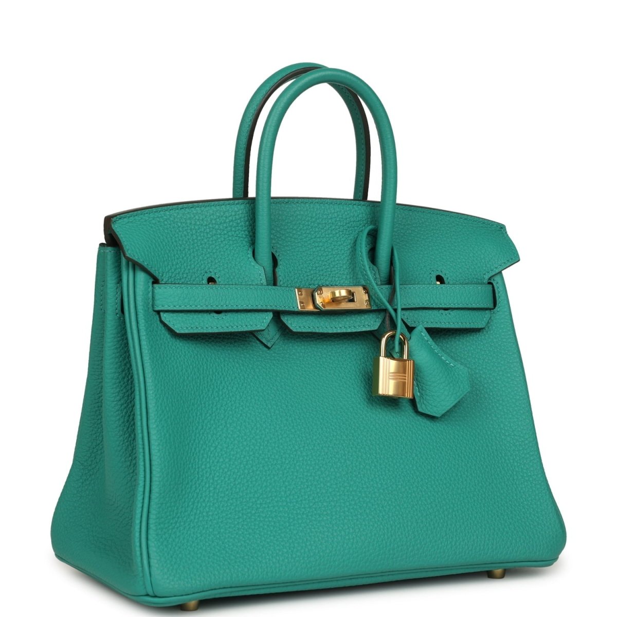 Hermes Birkin 25 Handbag Vert Verone Togo Gold Hardware - NEESTRA