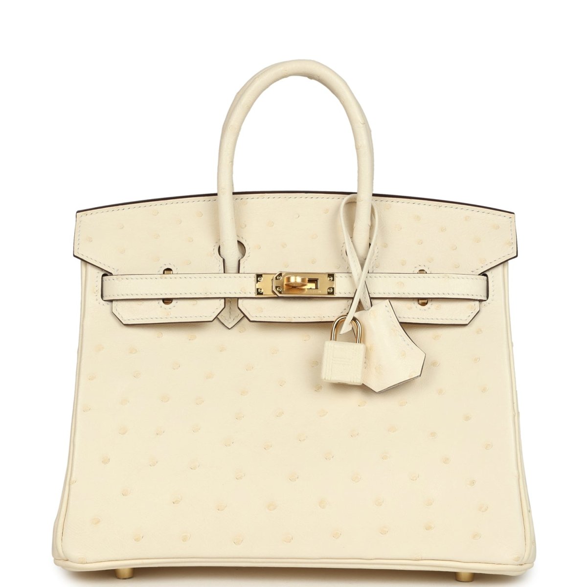 Hermes Birkin 25 Nata Ostrich Handbag Gold Hardware - NEESTRA