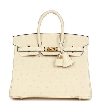 Hermes Birkin 25 Nata Ostrich Handbag Gold Hardware - NEESTRA