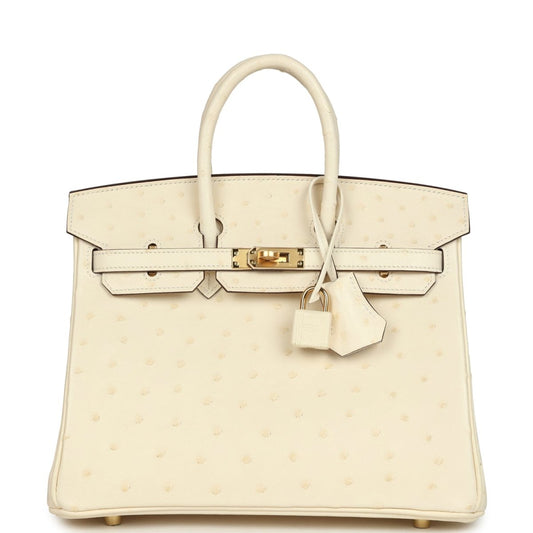 Hermes Birkin 25 Nata Ostrich Handbag Gold Hardware - NEESTRA