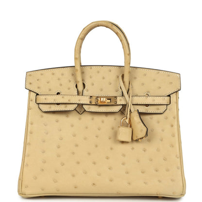Hermes Birkin 25 Trench Ostrich Leather Handbag Gold Hardware - NEESTRA