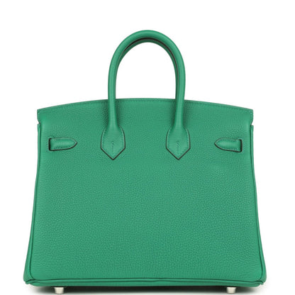Hermes Birkin 25 Vert Vertigo Togo Leather Palladium Hardware - NEESTRA